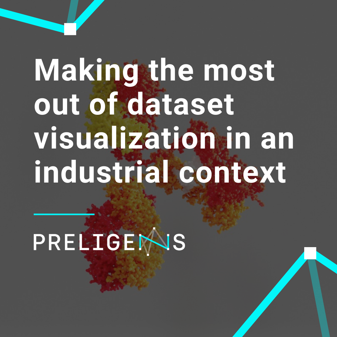 Making the most out of dataset visualization in an industrial context